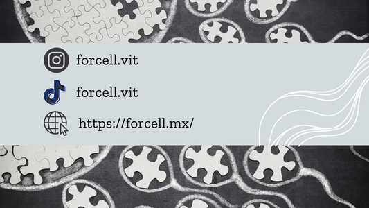 SIGUENOS EN REDES PARA MÁS INFORMACIÓN
